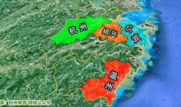 浙江楼市爆料网站最新,揭秘热点区域房价走势与政策动向